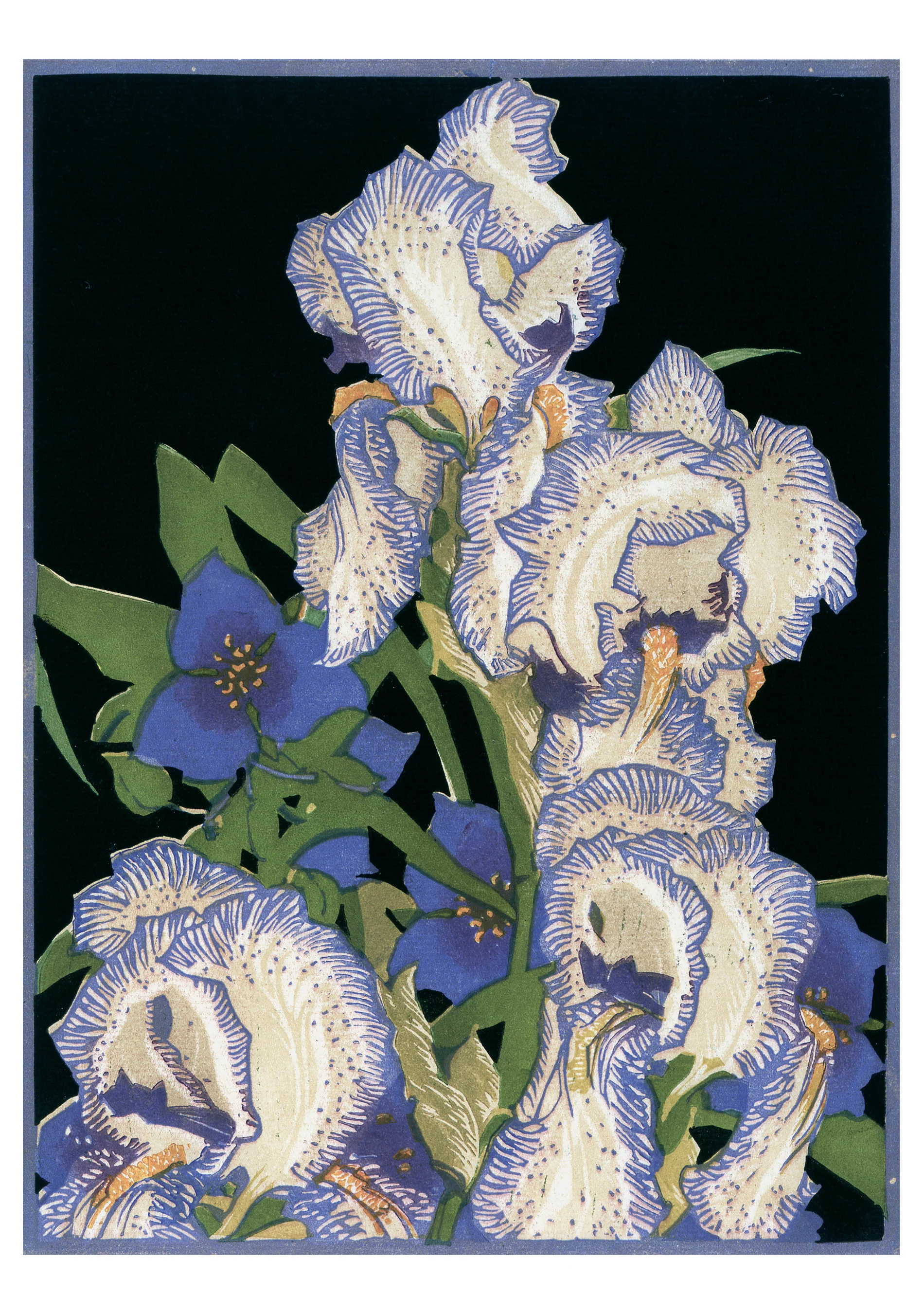 Franklin Carmichael: Pencilled Irises Notecard
