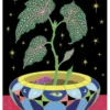 Tsz Kam: Begonia in a Pot Birthday Card