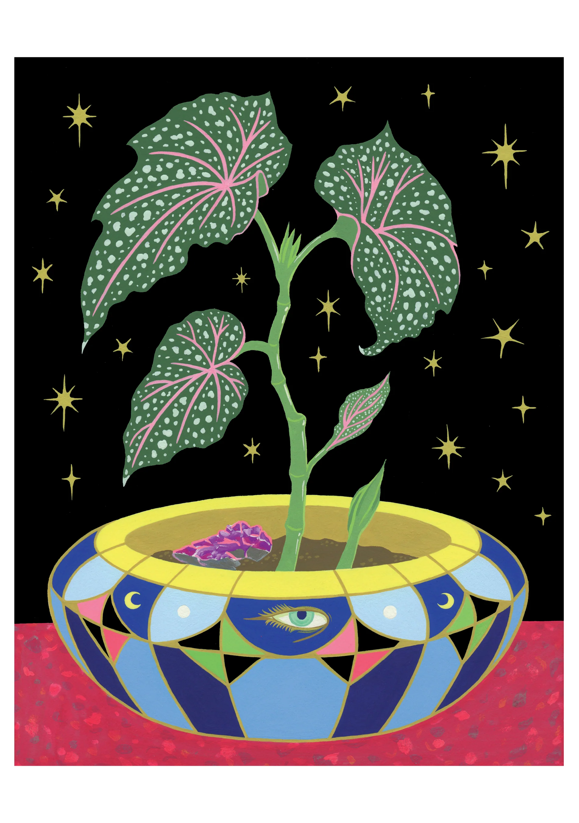 Tsz Kam: Begonia in a Pot Birthday Card