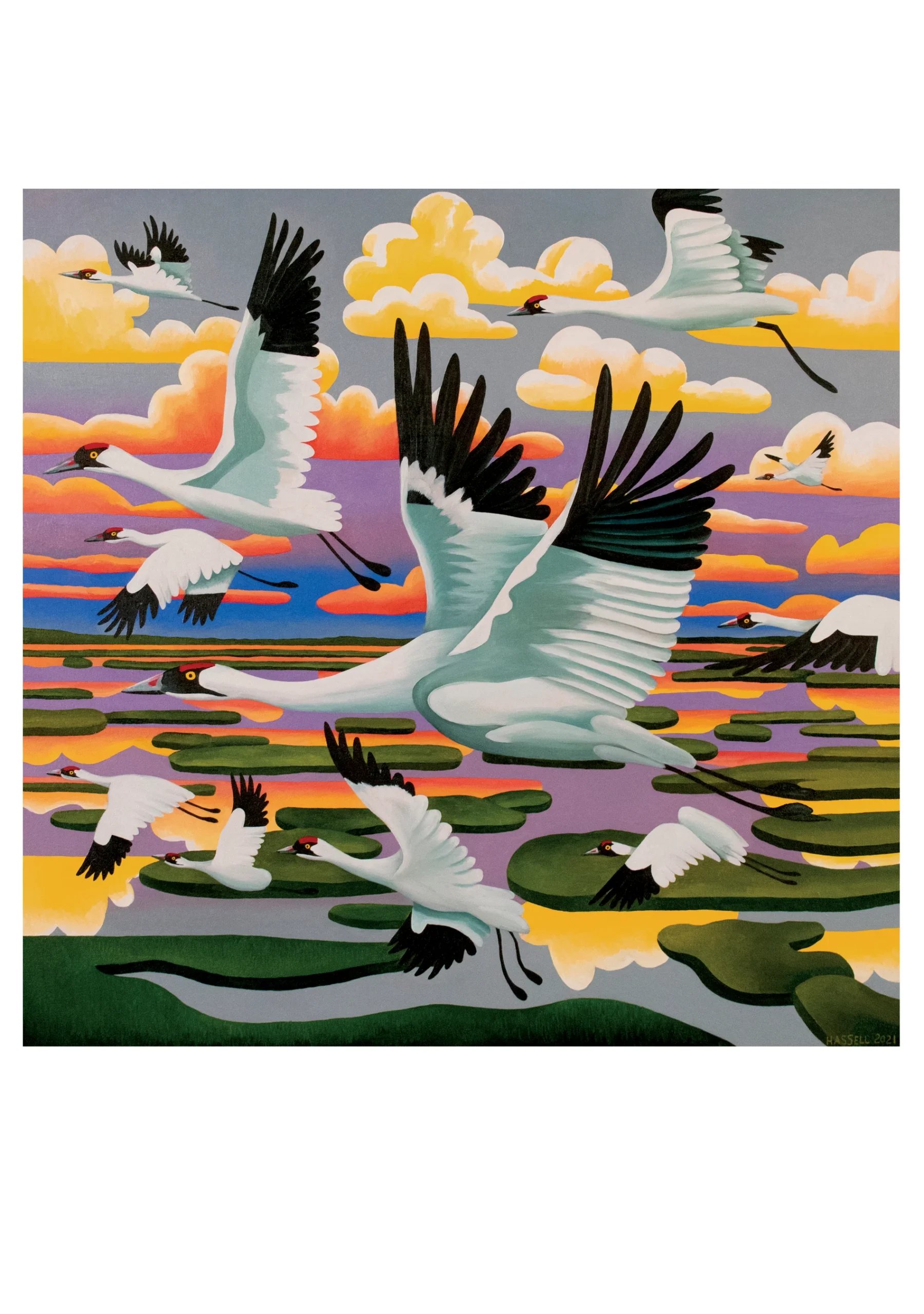 Billy Hassell: Whooping Cranes over Salt Marshes Notecard