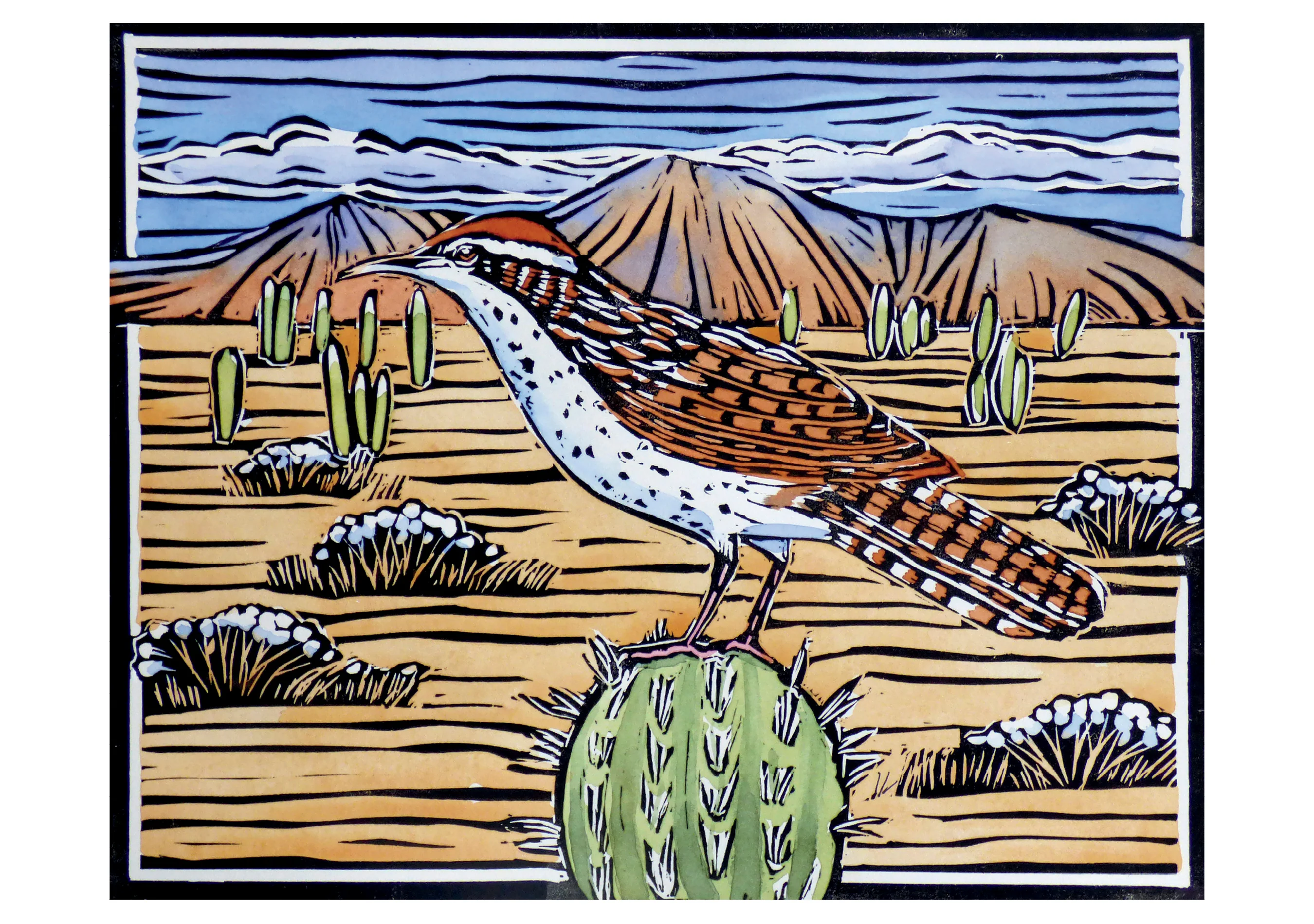 Molly Hashimoto: Cactus Wren Notecard