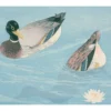 Hashiguchi Goyō: Ducks Notecard