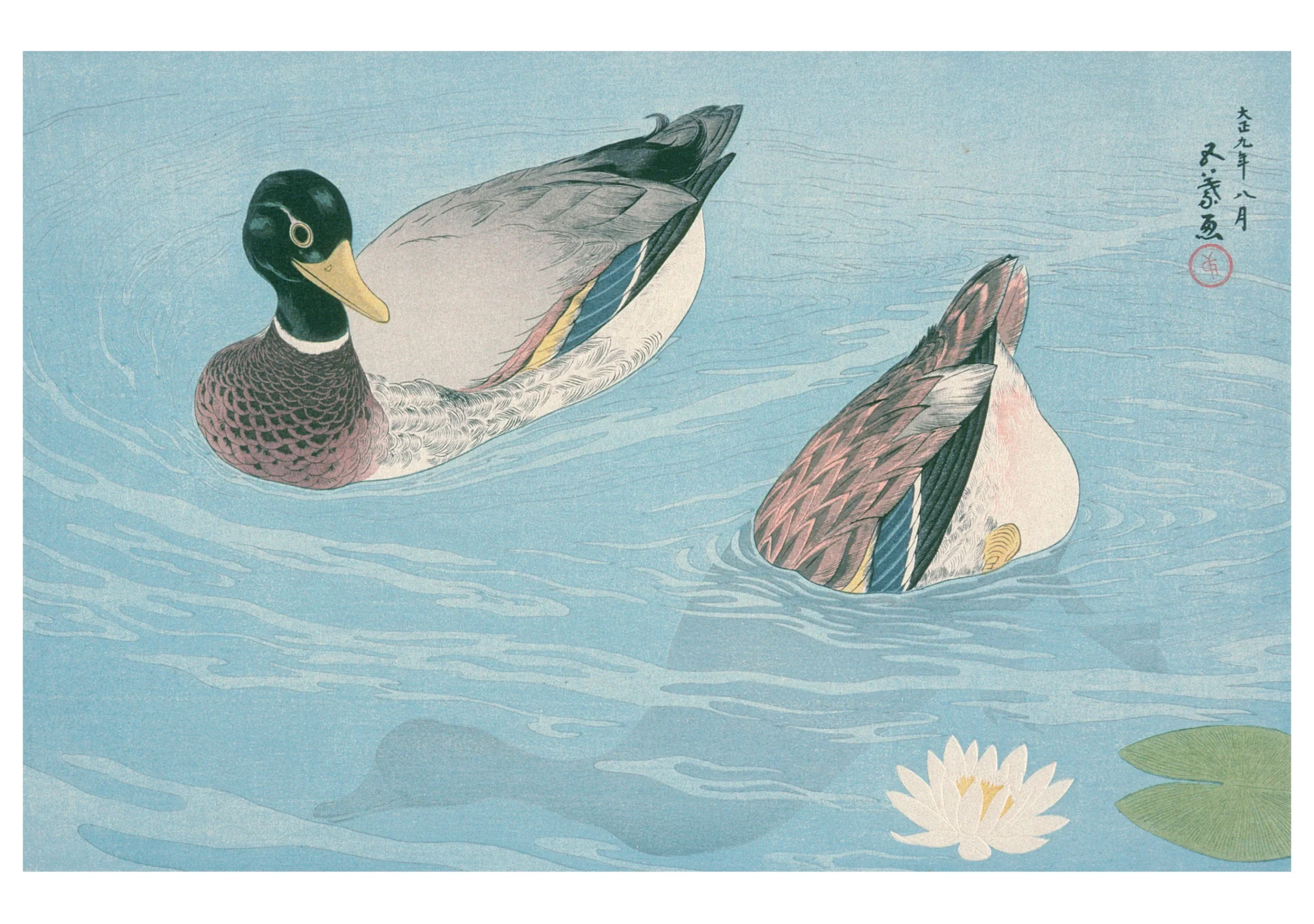 Hashiguchi Goyō: Ducks Notecard