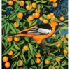 Billy Hassell: Tangerines Birthday Card