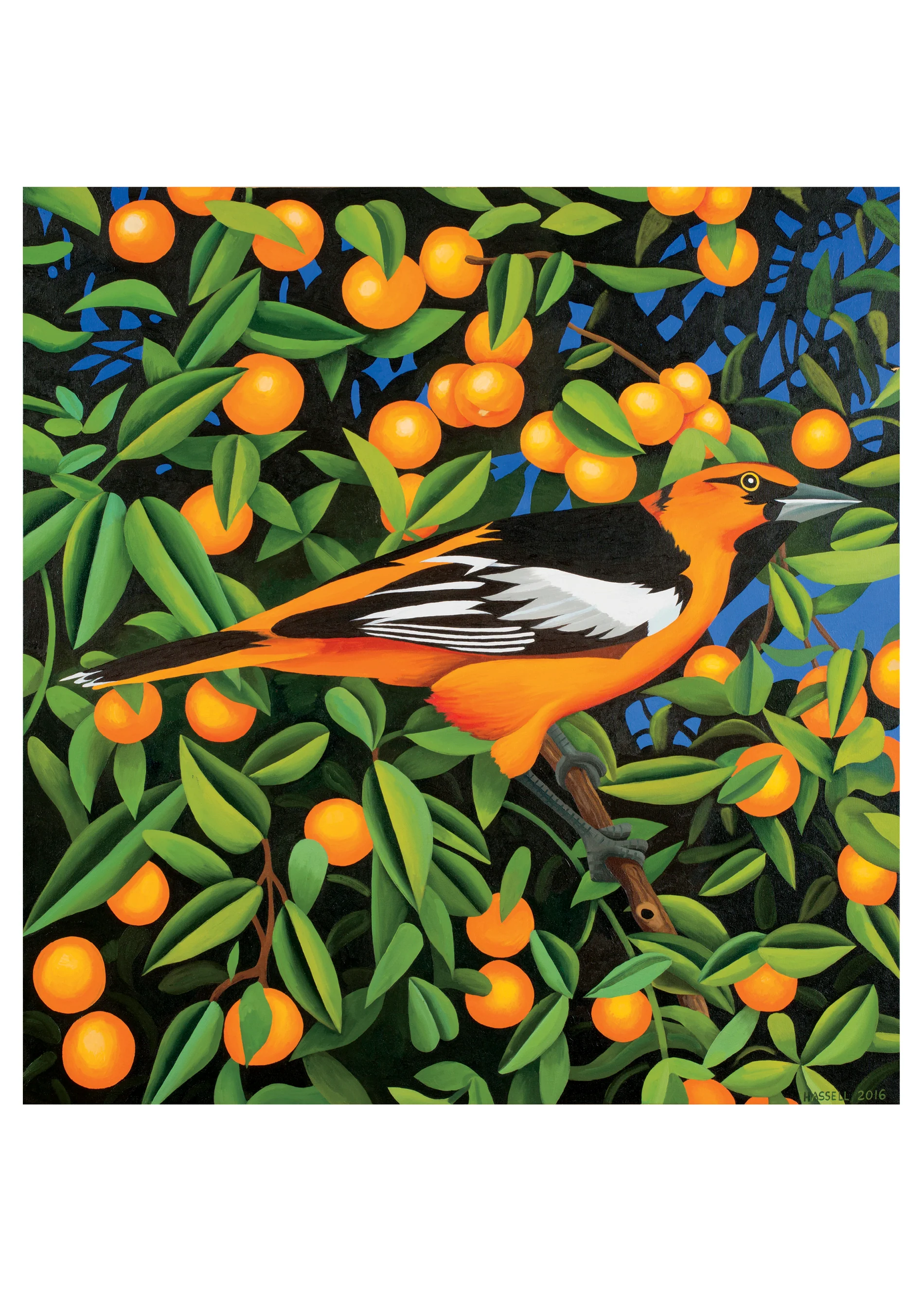 Billy Hassell: Tangerines Birthday Card