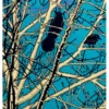 Steve and Bonnie Harmston: Evening Rendezvous Notecard