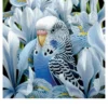 Jon Ching: Sheila Ann Notecard