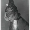 Brünnhilde Postcard