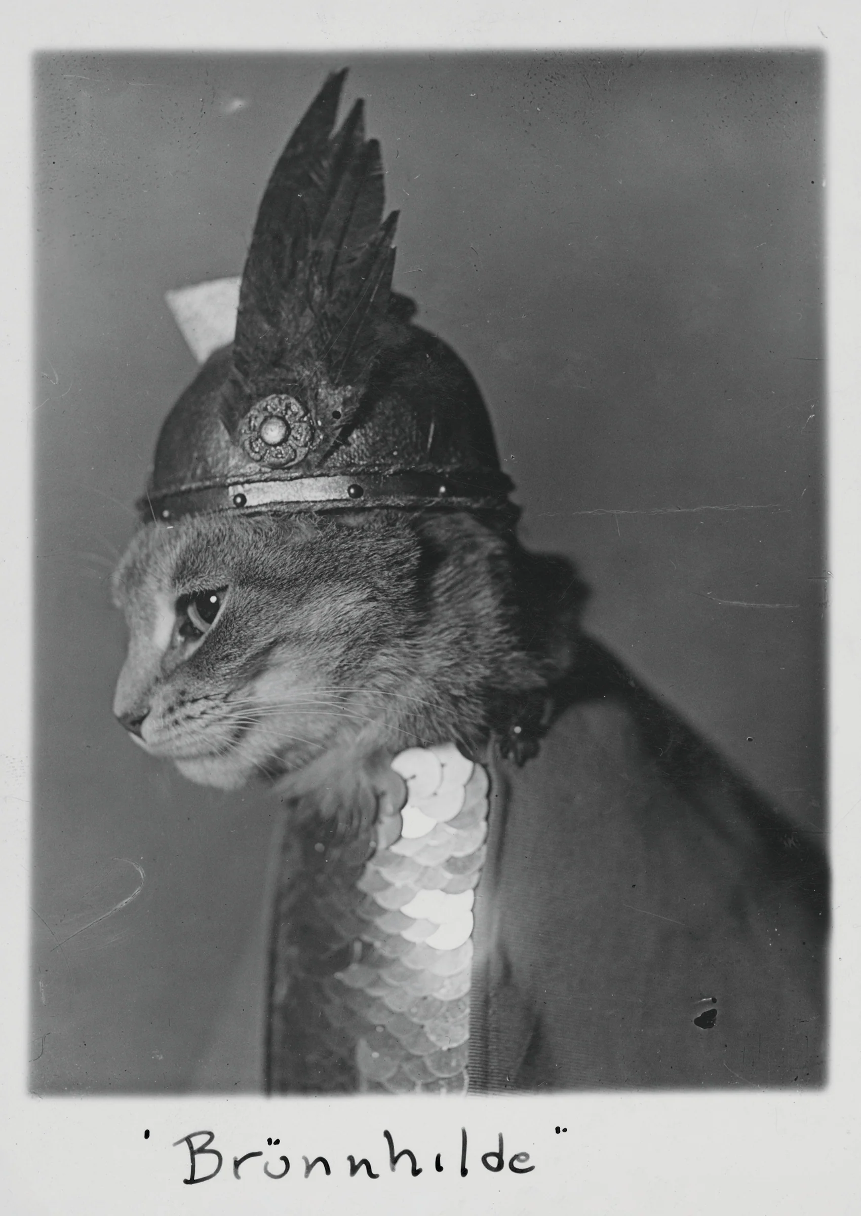 Brünnhilde Postcard