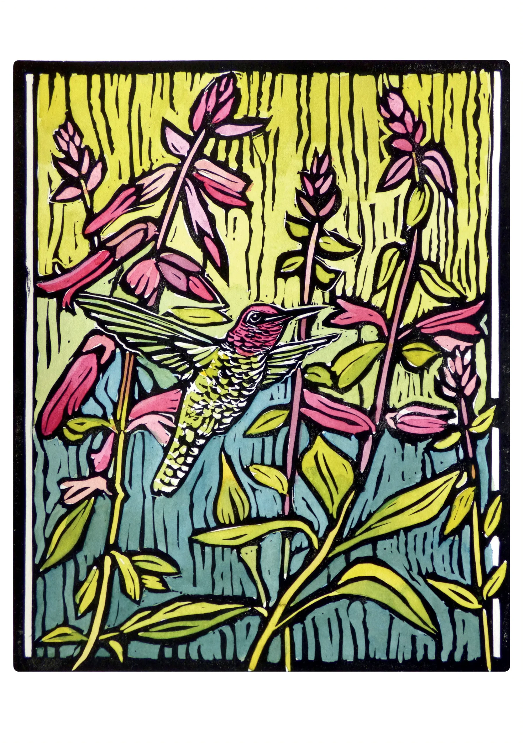 Molly Hashimoto: Anna's Hummingbird & Salvia Birthday Card