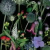 Deb Stoner: Allium, Gooseneck Loosestrife, and Red Currants Birthday Card