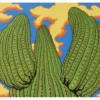 Steve and Bonnie Harmston: Saguaro Dreamin' Notecard