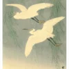 Ohara Koson (Shōson): Little Egrets in Flight Notecard