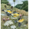 John A. Ruthven: Goldfinch Notecard