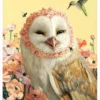 Jon Ching: Reciprocity Notecard