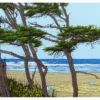 Steve and Bonnie Harmston: Yachats Notecard