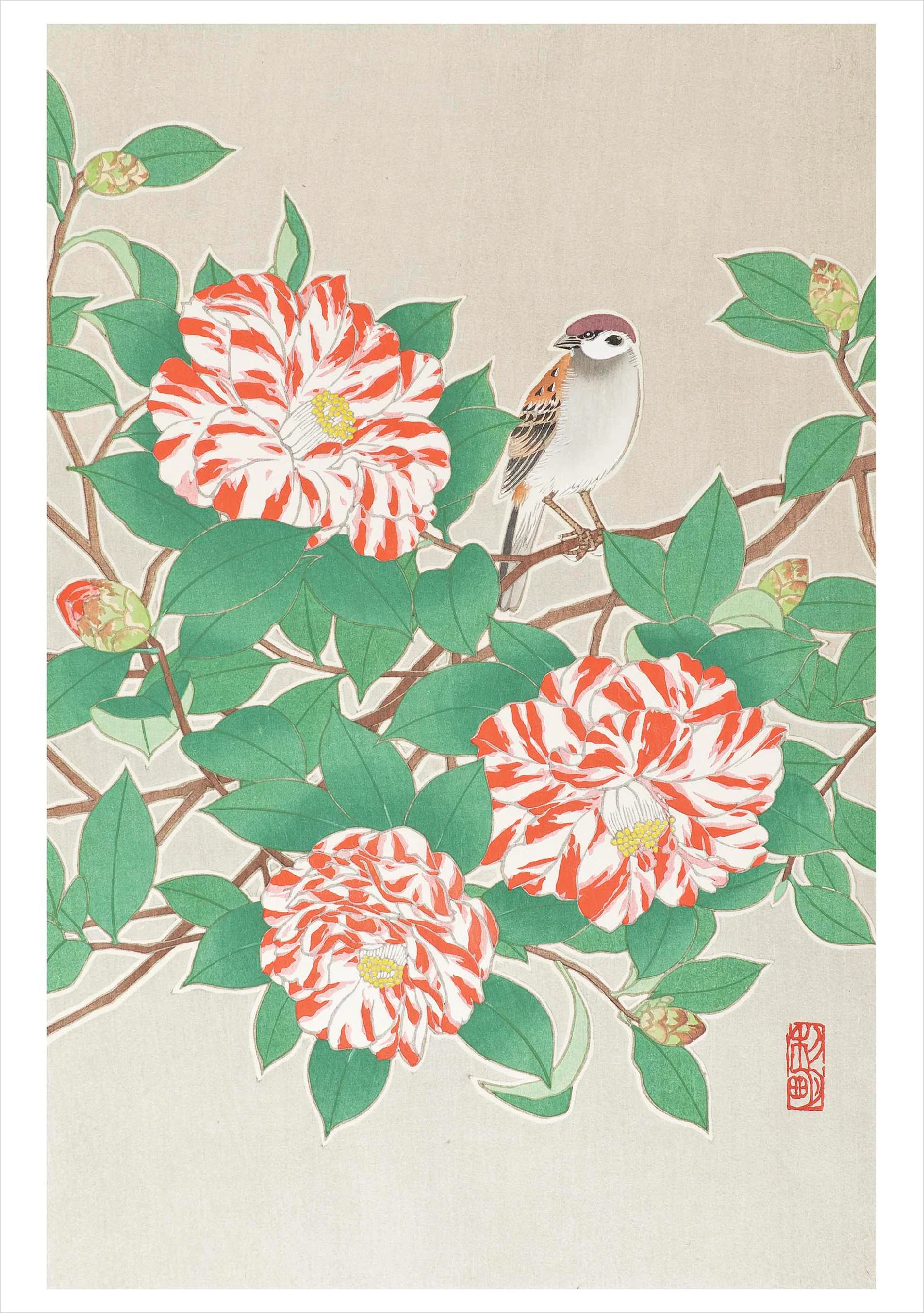Sparrow on Red and White Camellia Notecard