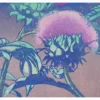 Mabel Royds: Artichoke Notecard