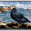 Molly Hashimoto: Tufted Puffin Notecard