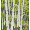 Molly Hashimoto: Aspens, Springtime Notecard