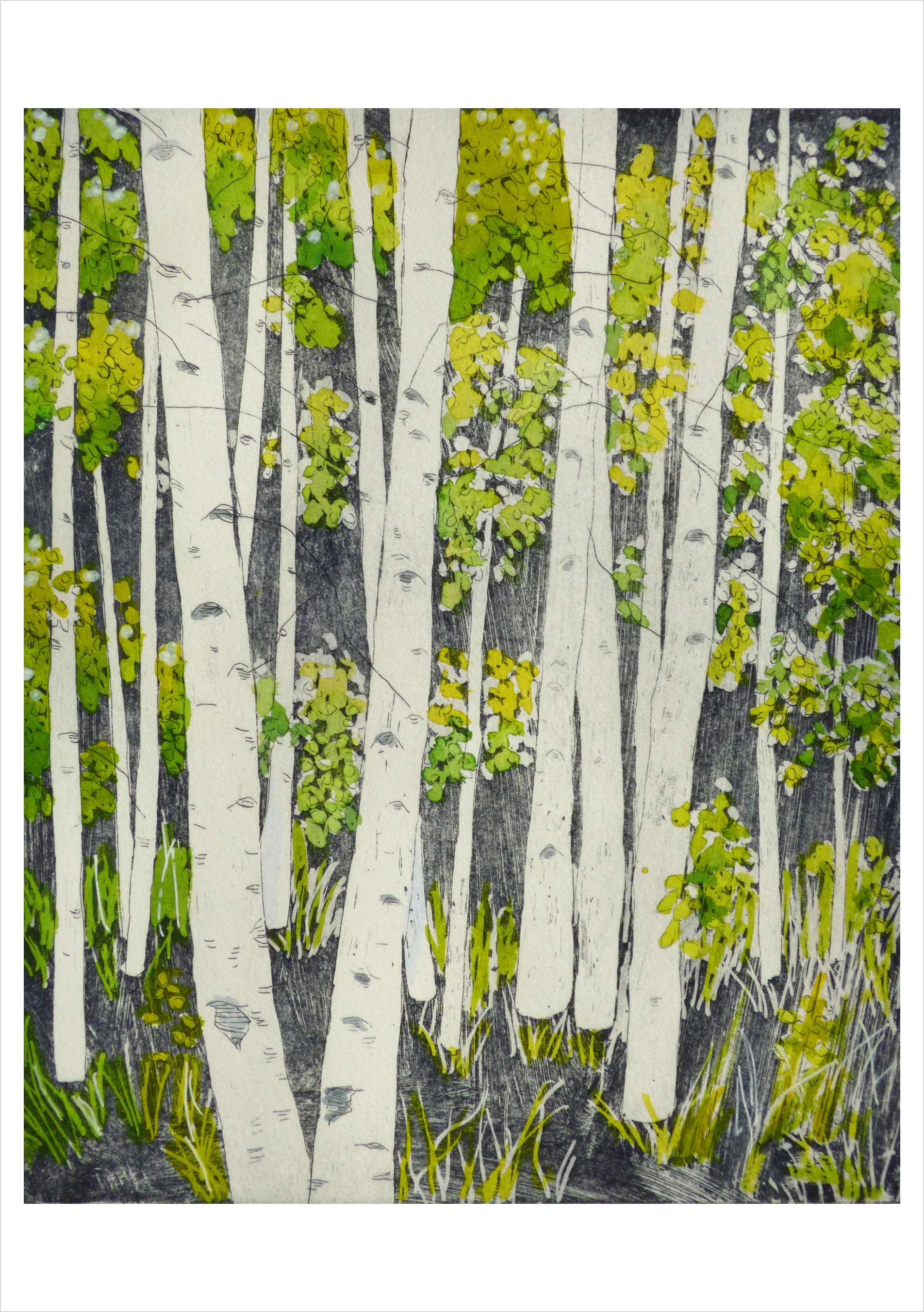 Molly Hashimoto: Aspens, Springtime Notecard
