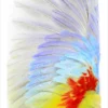 Christopher Marley: Opaline Turquoisine Notecard