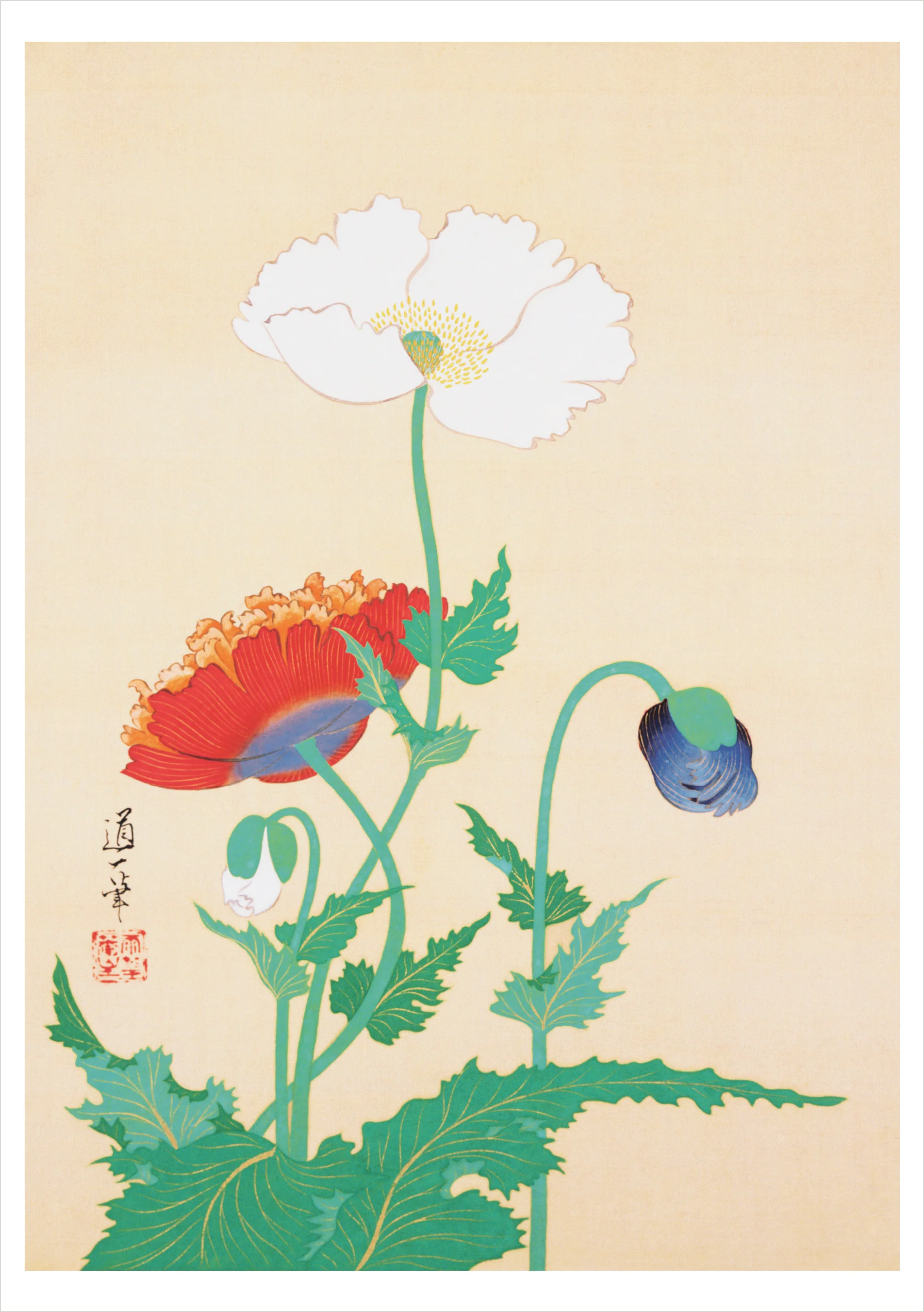 Sakai Dōitsu: Poppies Notecard