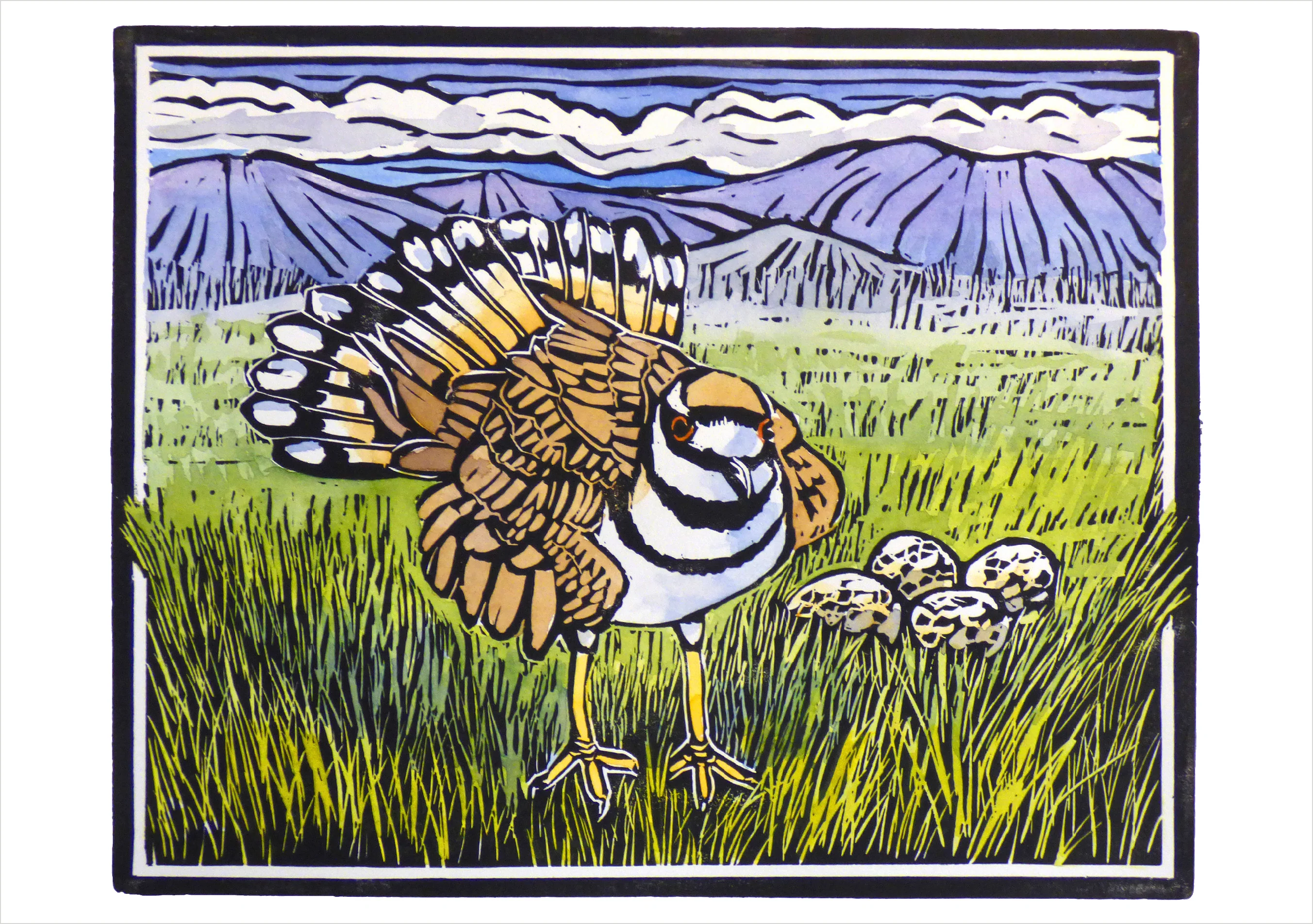 Molly Hashimoto: Killdeer and Eggs Notecard