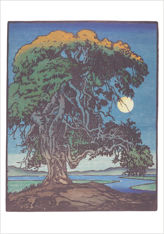 William S. Rice: The Landmark Oak Notecard