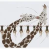 Charley Harper: Neck and Neck Notecard