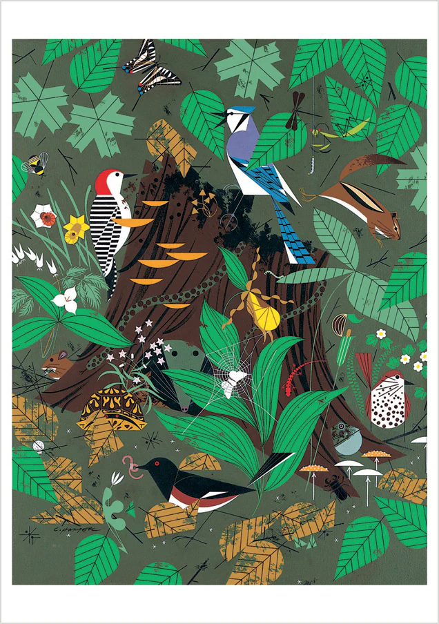 Charley Harper: Woodland Wonders Notecard