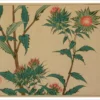 Shibata Zeshin: Thistles Notecard