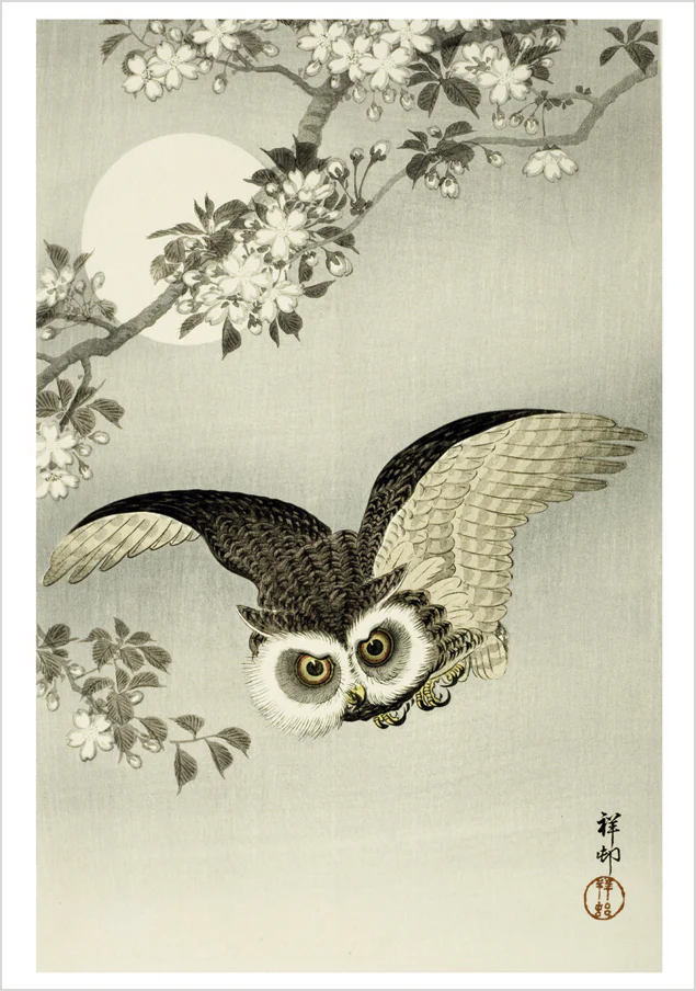 Ohara Koson (Shōson): Scops Owl, Cherry Blossoms and Moon Notecard