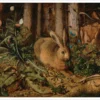 Hans Hoffmann: A Hare in the Forest Notecard