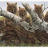 Robert Bissell: The Portrait Notecard