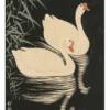 Ohara Koson (Shōson): Two Geese Swimming Notecard