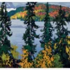 Lawren S. Harris: Montreal River Notecard