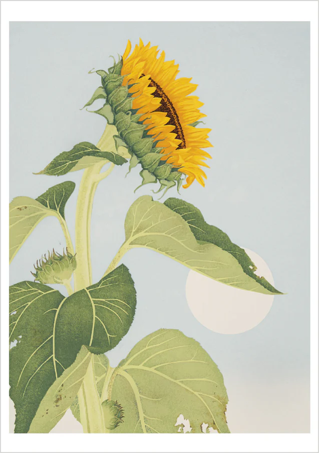 Kate Krasin: Sunflower Notecard