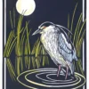 Molly Hashimoto: Black-crowned Night Heron Notecard