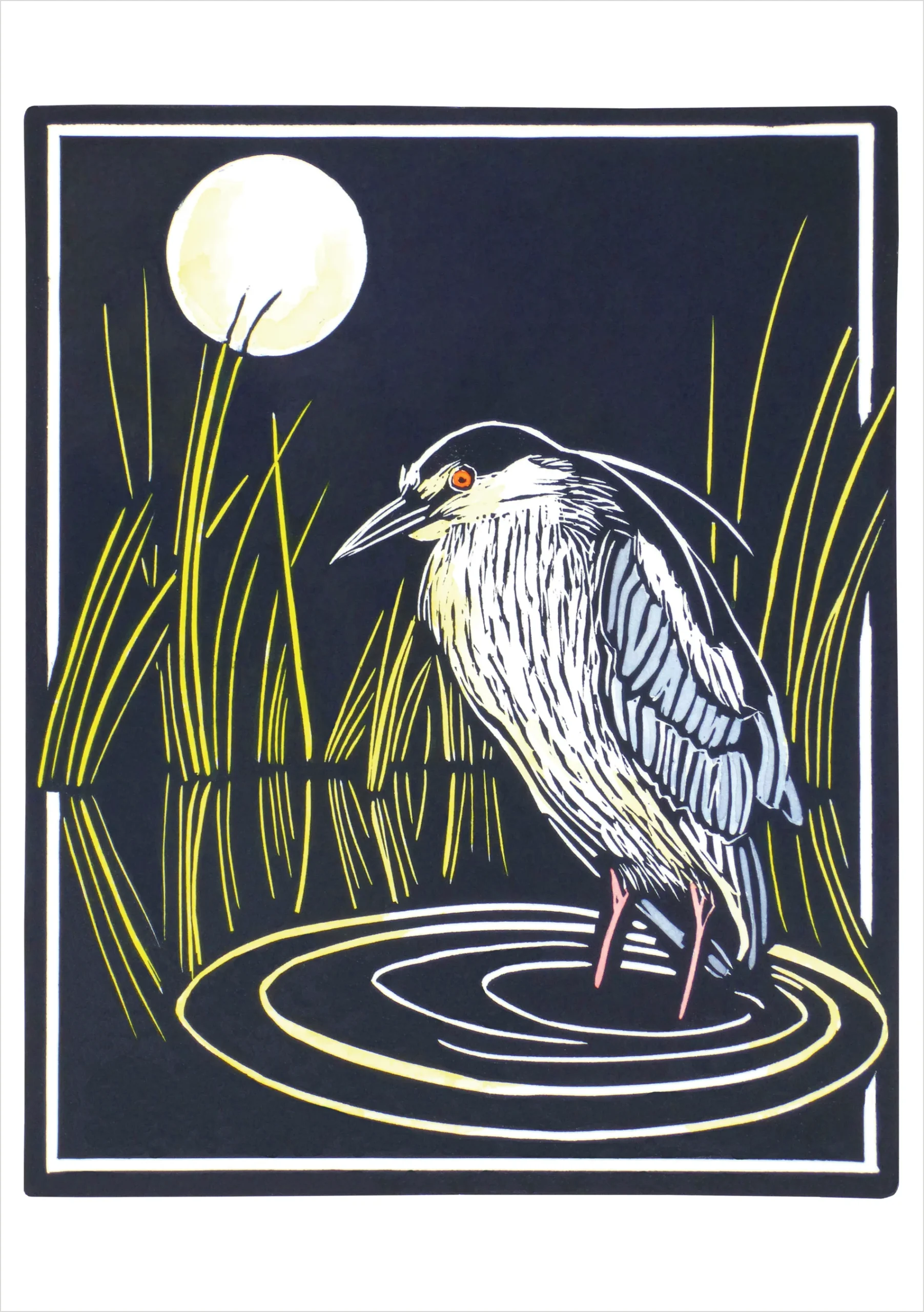 Molly Hashimoto: Black-crowned Night Heron Notecard