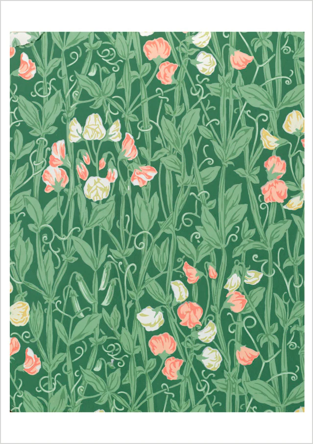 William Morris: Sweetpea Pattern Birthday Card