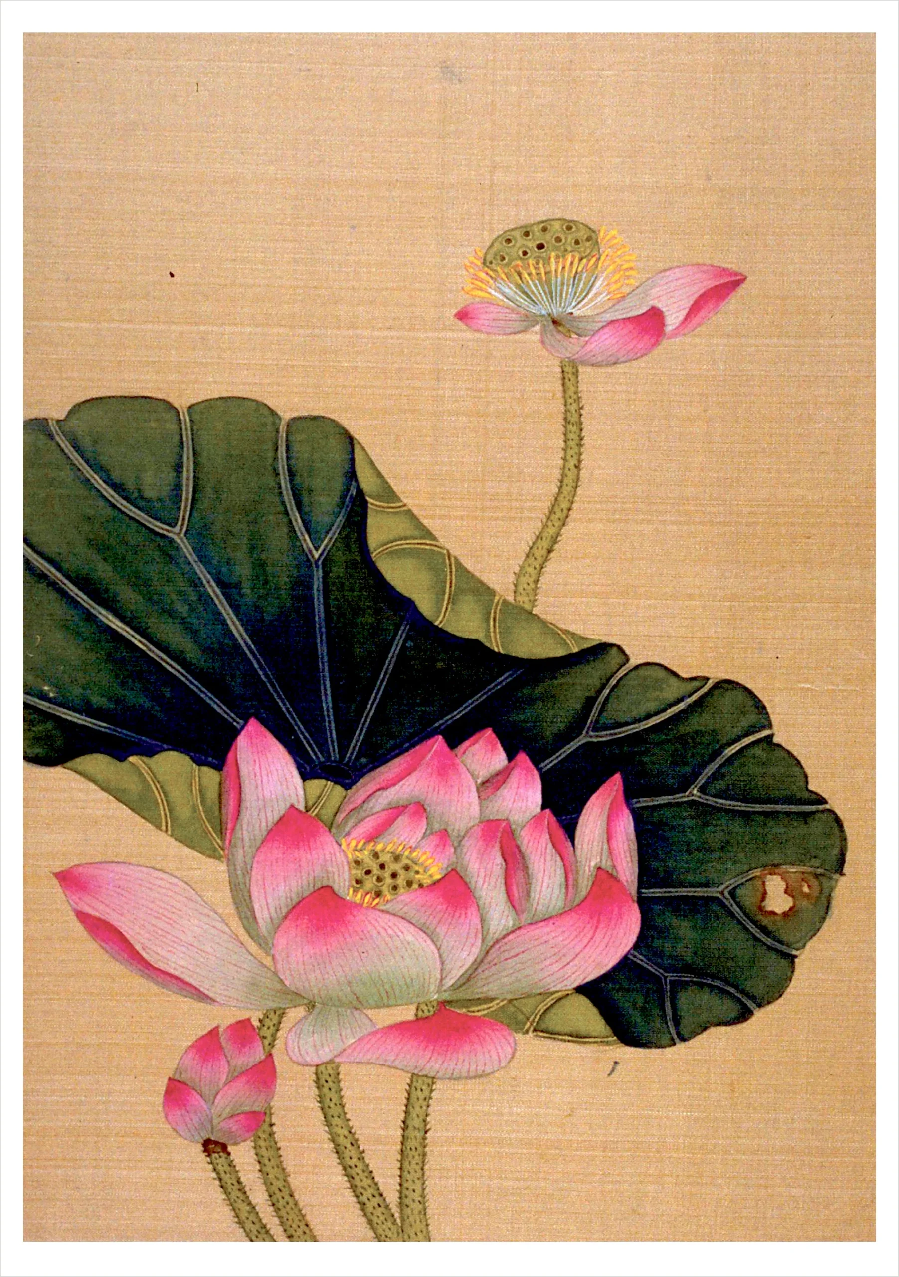 Chiang Su: Lotus Blossoms Birthday Card