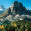 Larch Trees in Autumn below Mount Assiniboine Notecard