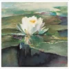 John La Farge: Water Lily in Sunlight Notecard
