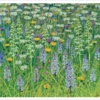 Rosalind Wise: Pentwyn Meadow Orchids Birthday Card