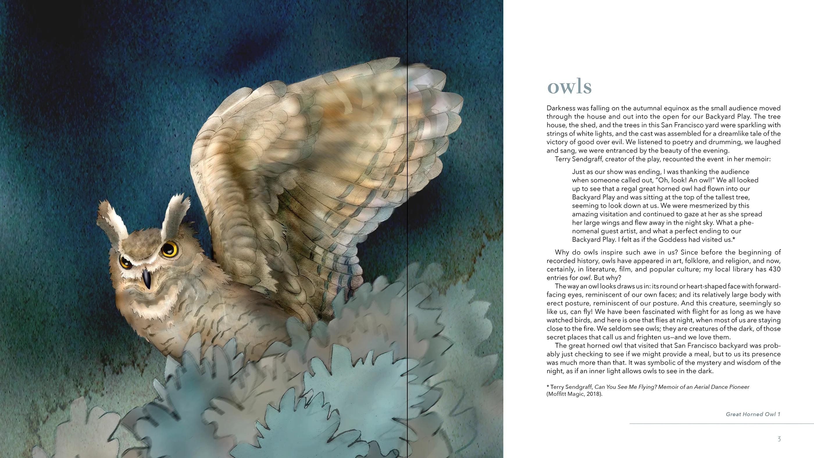 Owls: The Paintings of Jeannine Chappell