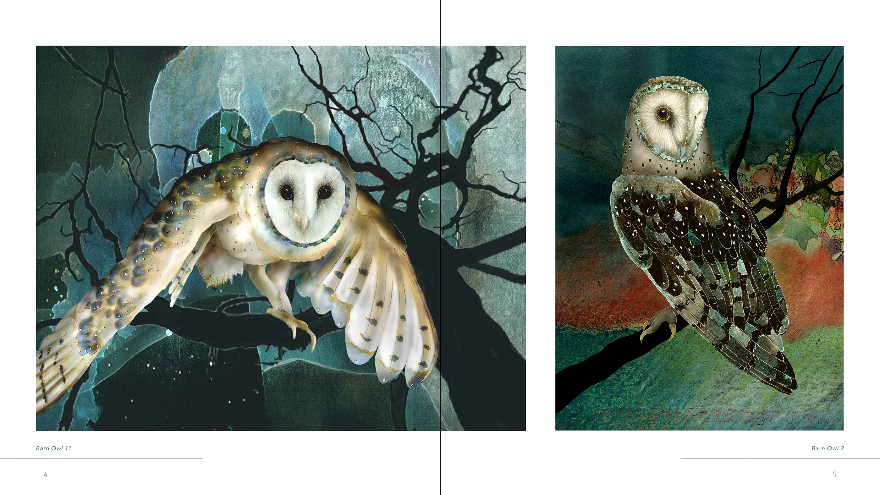 Owls: The Paintings of Jeannine Chappell