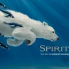 Spirit: The Art of Robert Bissell