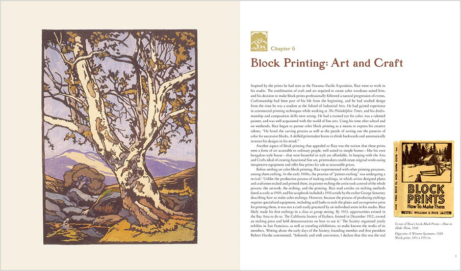 William S. Rice: Art & Life