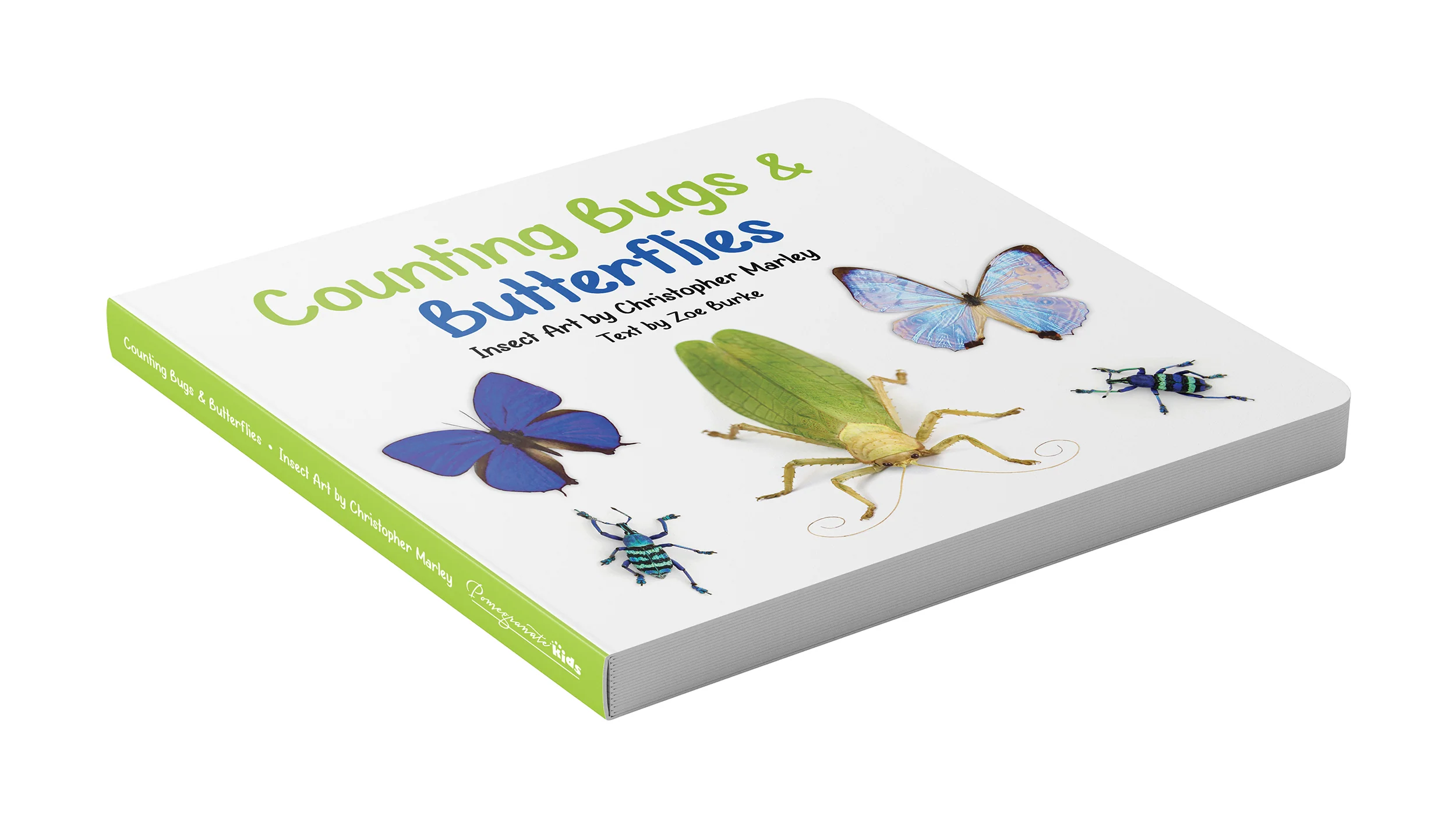Counting Bugs & Butterflies: Insect Art by Christopher Marley Board Book